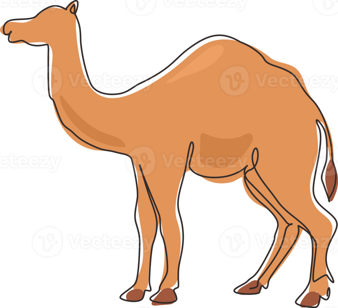 Single one line drawing strong desert Arabic camel for logo. Cute mammal animal concept for livestock husbandry, tourism, transportation. Modern continuous line draw design graphicillustration png