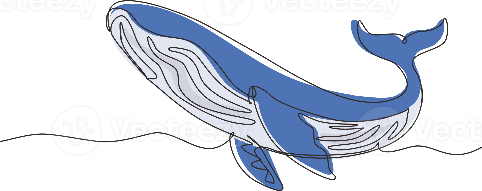 Continuous one line drawing wild whale fish swimming in sea life. Marine animal digital concept. Blue whale and scuba diver under ocean water. Single line draw design graphic illustration png