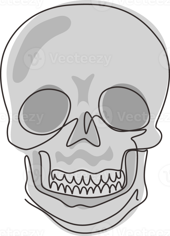 Single continuous line drawing sketch skull. Hand drawn anatomical skulls in front projection. Tattoo artwork, anatomy face halloween horror elements. Dynamic one line draw graphic design png
