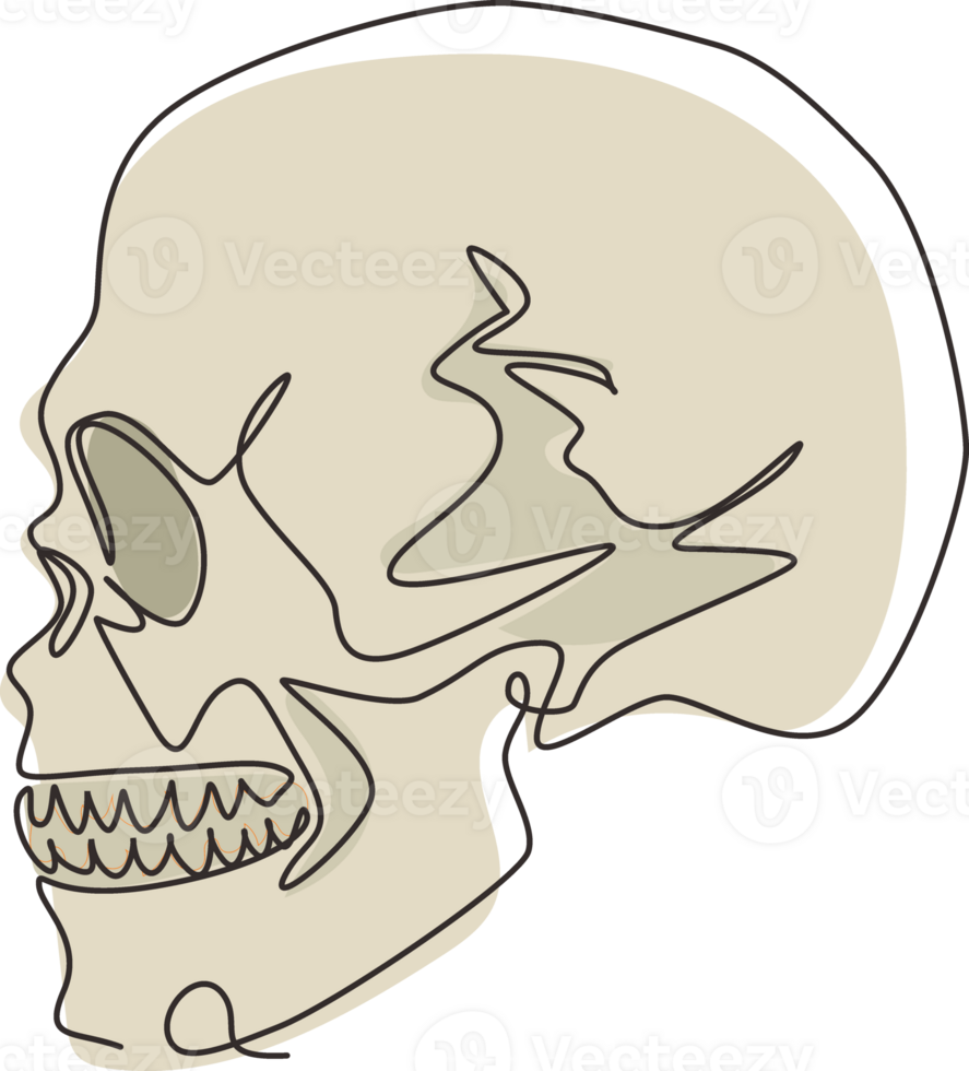 enda kontinuerlig linje teckning svart och vit illustration av skalle. mänsklig huvud ben. skelett hand dragen tatuering design. skiss anatomisk skallar i sida se. ett linje dra grafisk design png