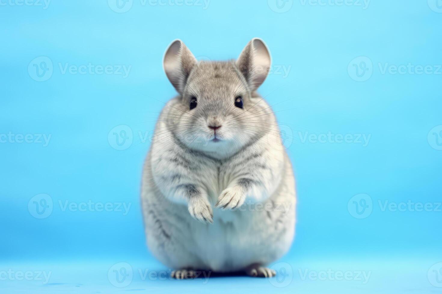 muy linda chinchilla en naturaleza, nacional geografía, amplio vida animales ai generado. foto