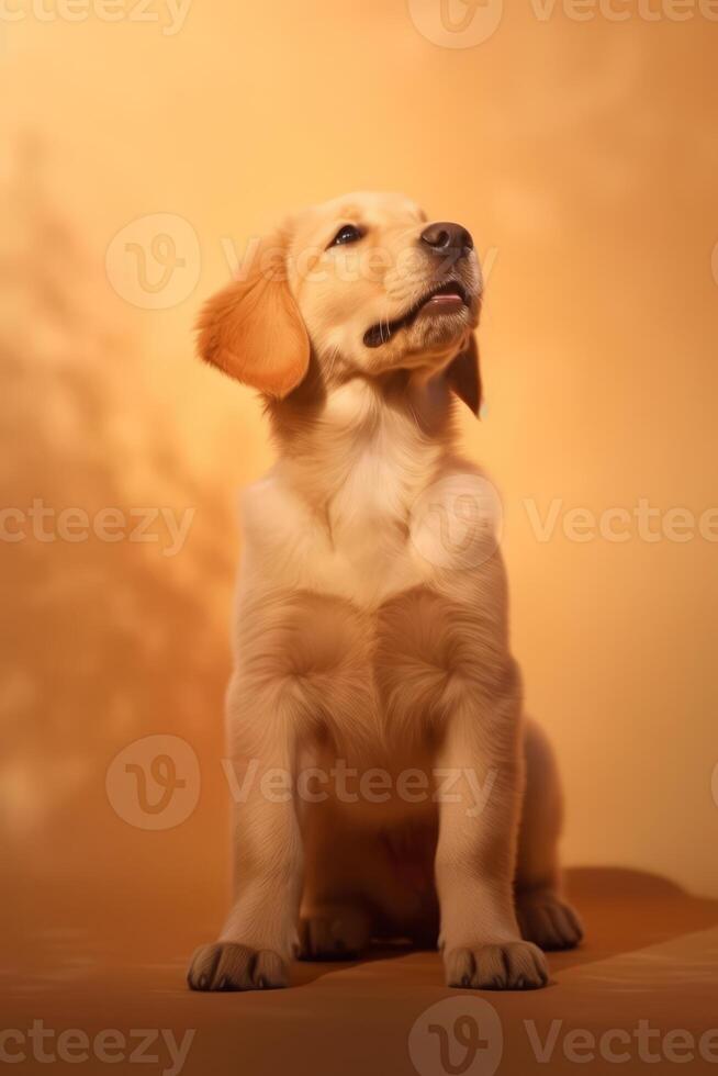 muy linda perrito dorado perdiguero en naturaleza, nacional geografía, amplio vida animales ai generado. foto