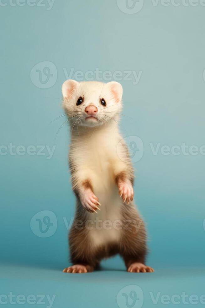 Very cute baby Ferret in nature, national geography, Wide life animals. AI Generated. photo