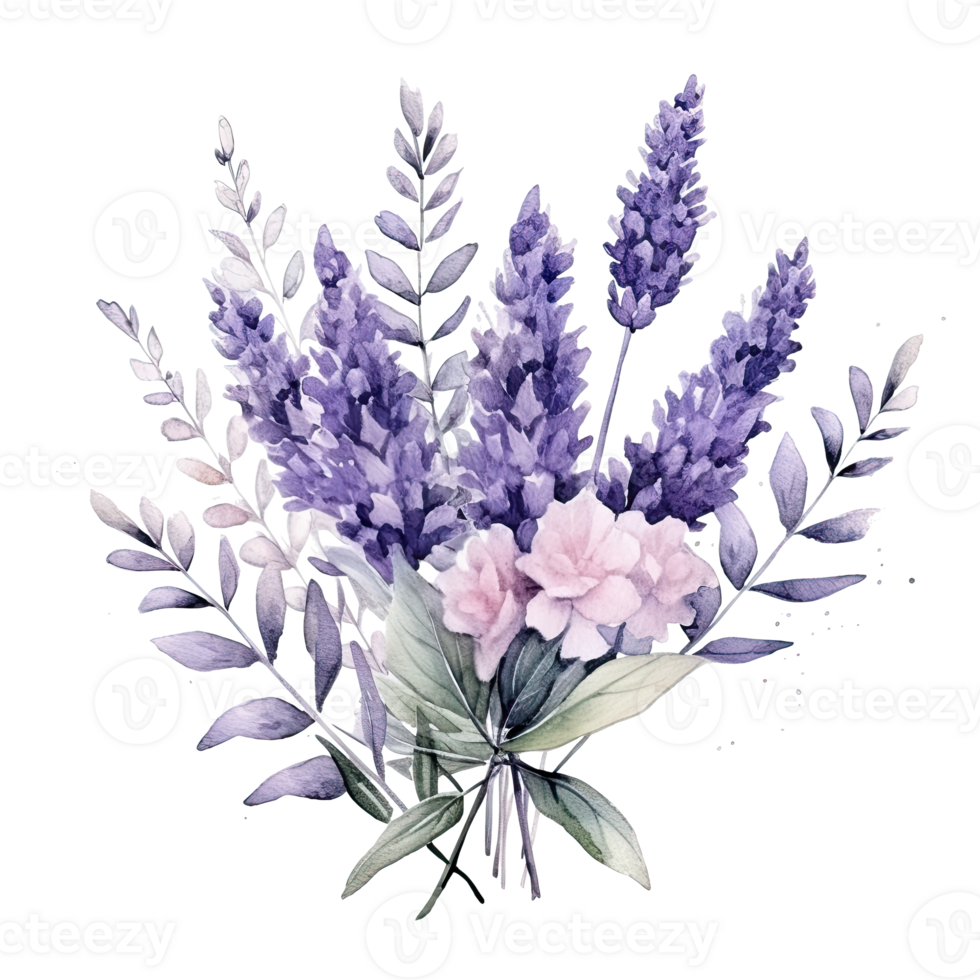 vattenfärg lavendel- bakgrund png