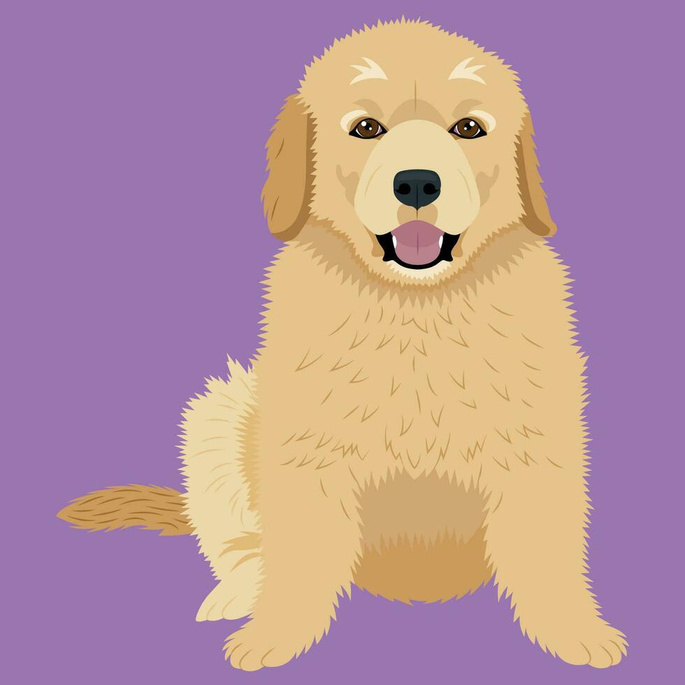Golden retriever puppy flat illustration vector