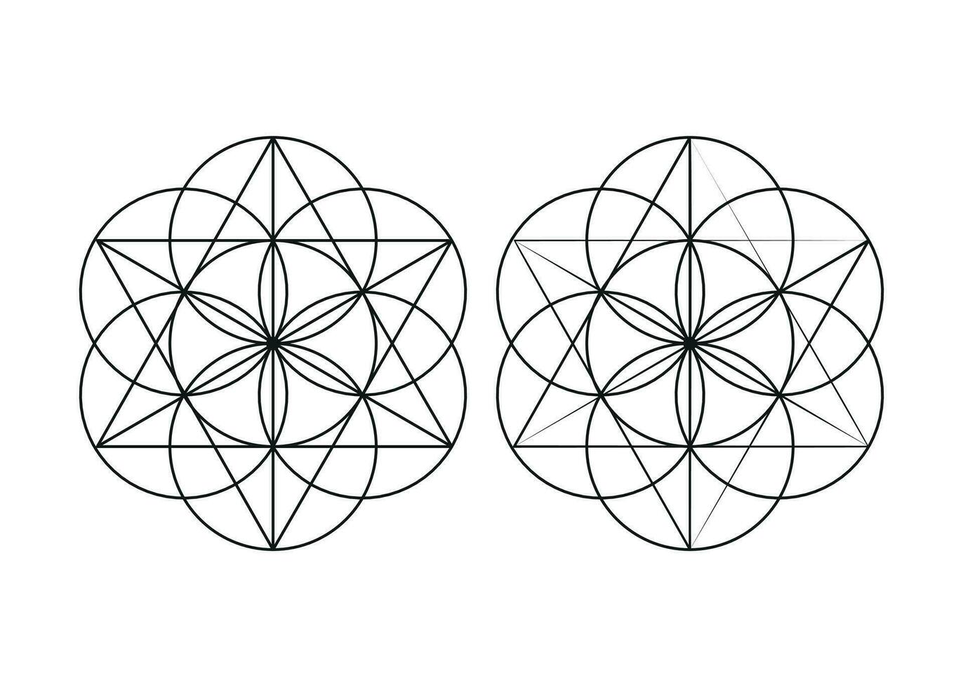 Seven overlapping circles, form the basic shape to create a hexagram. vector
