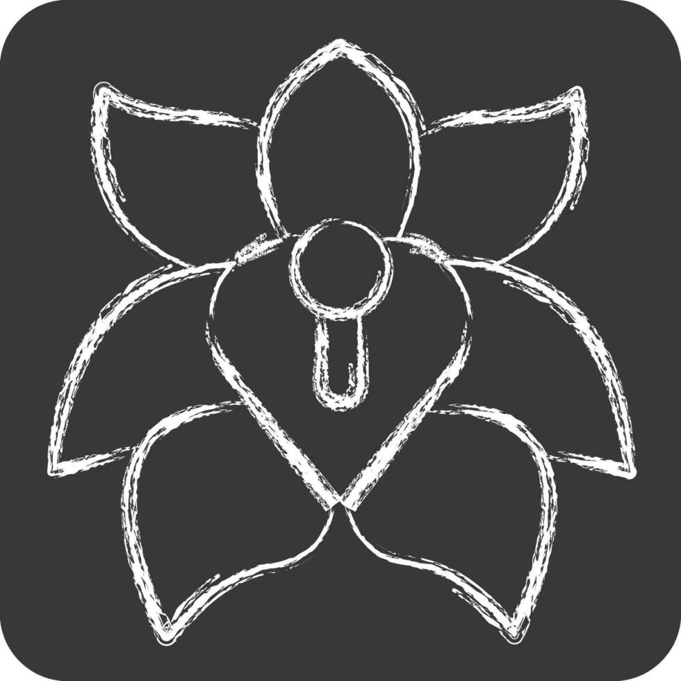 Icon Erythrina. related to Argentina symbol. chalk Style. simple design editable. simple illustration vector