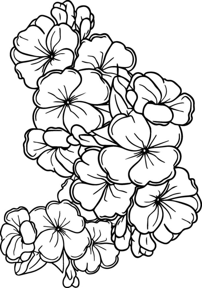 Fantasy primrose wall decor, primula doodle, and sticker, Realistic flower coloring pages, primula flower outline, Primula Denticulata black tattoo, primrose january birth flowers doodle art vector