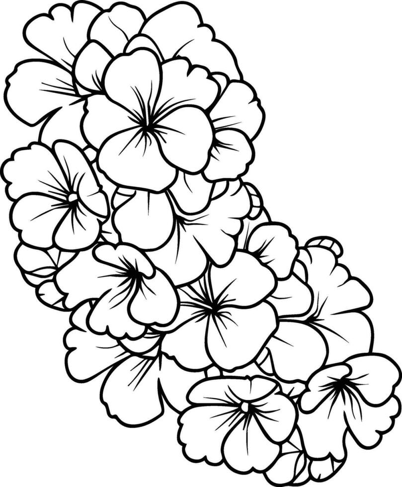 Cute flower coloring pages, primrose drawing, evening primrose wildflower drawings, Hand drawn botanical spring elements bouquet of primrose line art coloring page, easy flower drawing primrose doodle vector