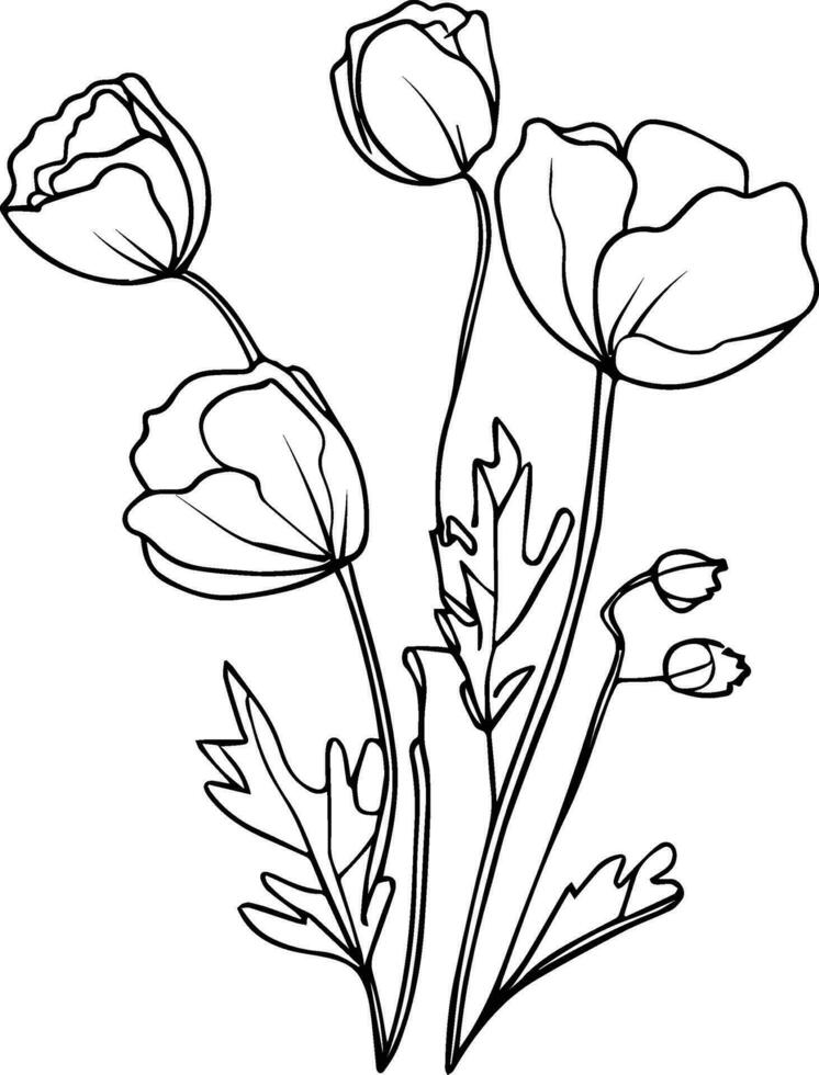 wrist poppy tattoo simple, women's poppy tattoo, poppy flower drawing the outline,  poppies drawing the outline, tattoo drawing coloring pages, poppy line art, realistic flowers wall art vector