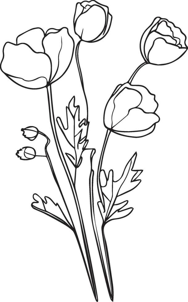 Poppy  flower wall decor, Cottage Garden Flowers Wall Decor, simple poppy tattoo illustration, opium poppy wall art,  single line art  flowers coloring pages, preatty flower illustration. vector