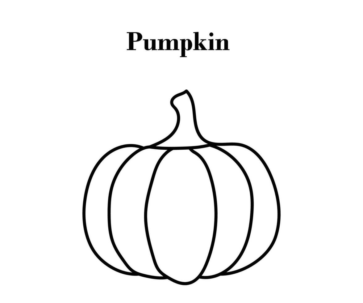 Pumpkin for Halloween or Thanksgiving line art design with vector illustrations
