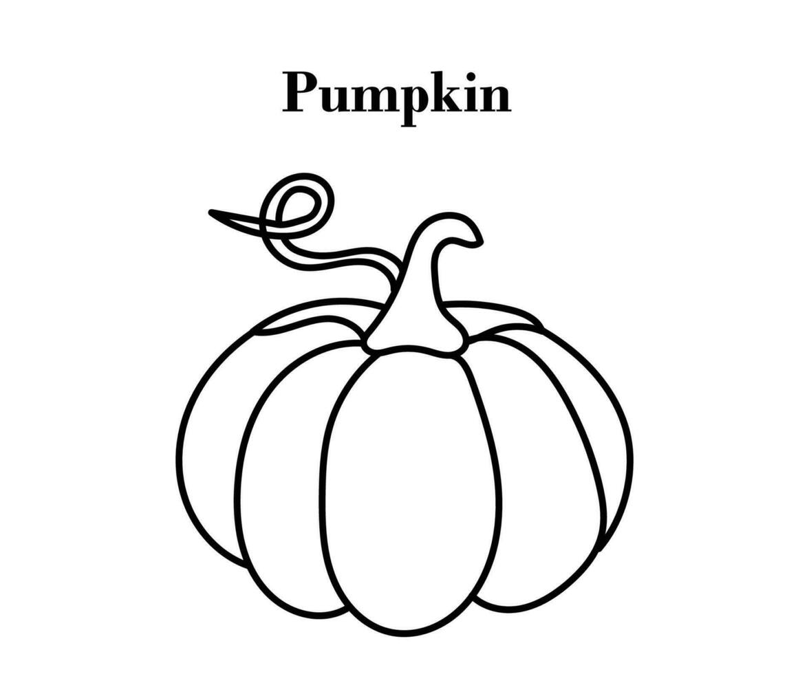Pumpkin for Halloween or Thanksgiving line art design with vector illustrations