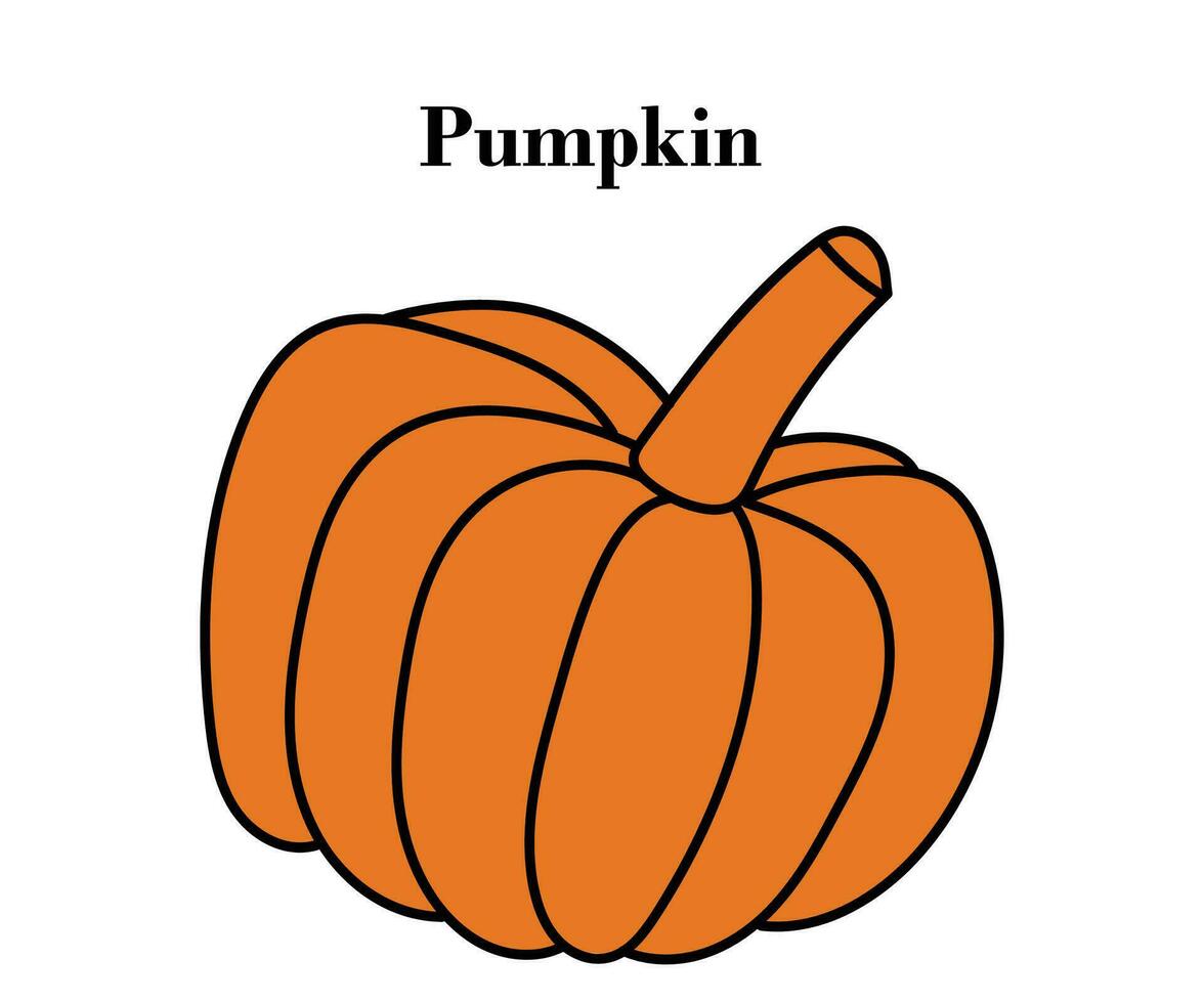 Pumpkin for Halloween or Thanksgiving colorful design with vector illustrations