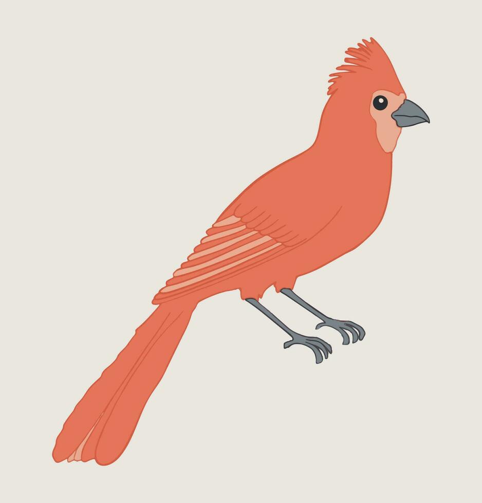 del Norte rojo cardenal pájaro icono. linda pequeño pájaro icono aislado en un antecedentes. vector ilustración para imprimir, web o naturaleza diseño.