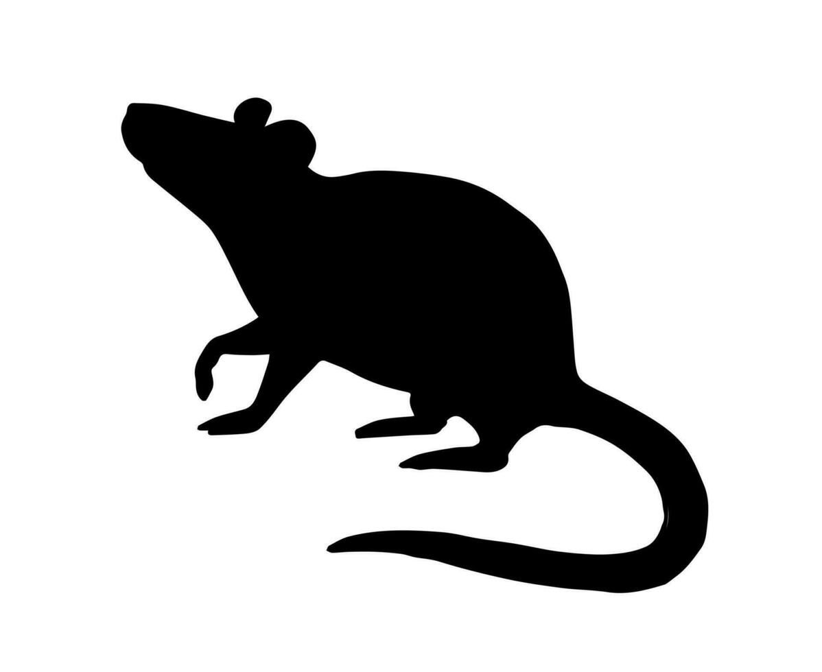 Vector flat black standing rat silhouette