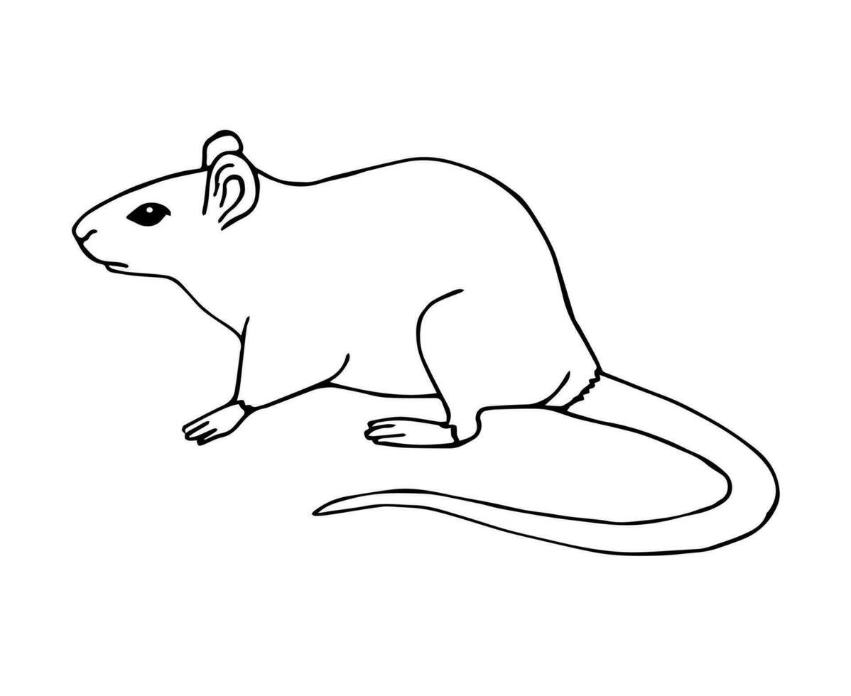 vector mano dibujado bosquejo rata ratón
