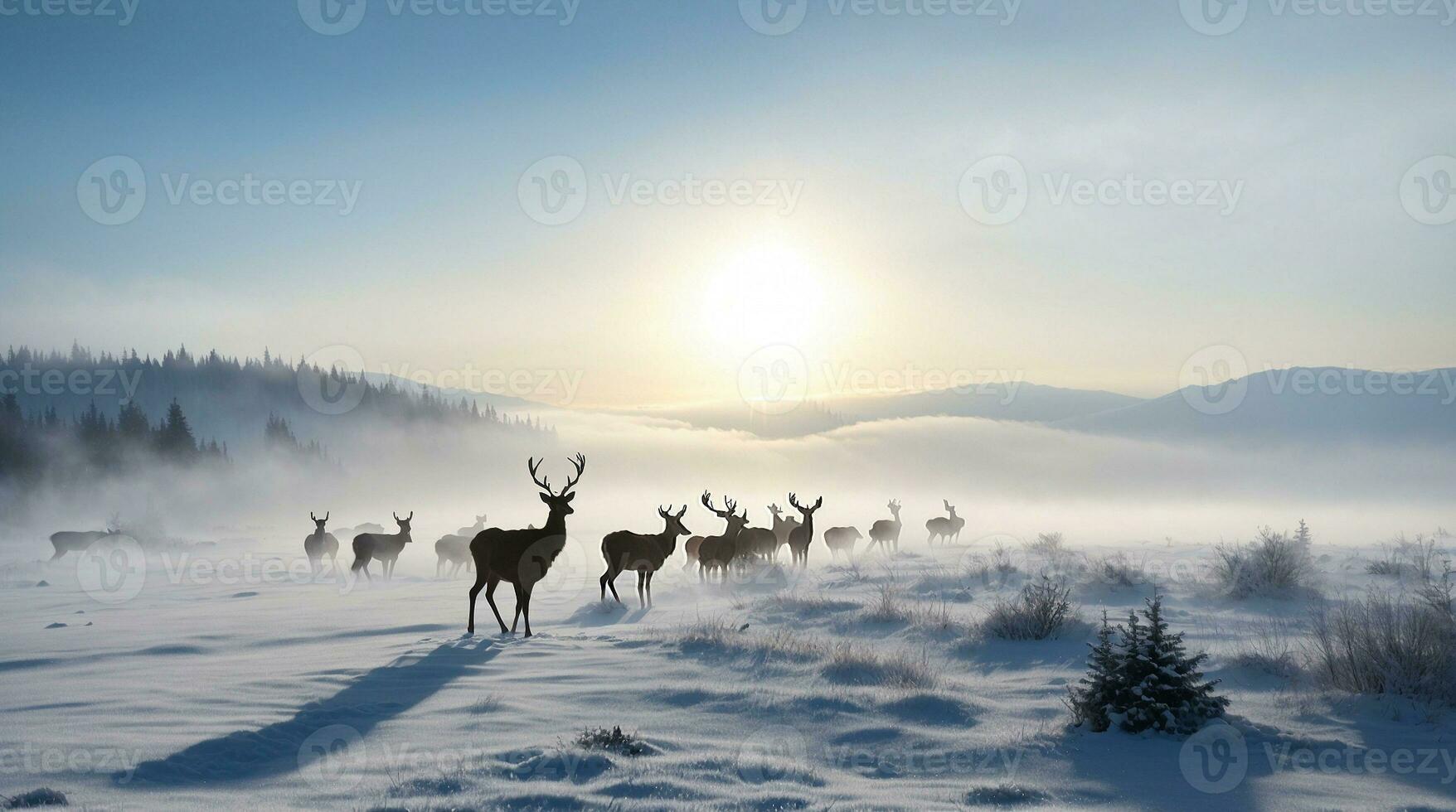 beautiful cold morning winter snow background with trees forest and mountain in the background, Gently snow view against the blue sky, free space for your decoration photo