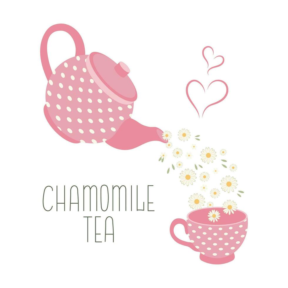 Chamomile tea, healthy drink. Herbal tea. Teapot and cup with chamomile tea and chamomile flowers. Illustration, vector