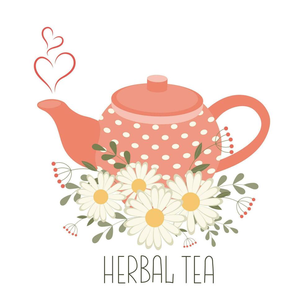 Herbal medicinal tea, healthy drink. Teapot and cup with herbal tea and chamomile flowers. Illustration, vector