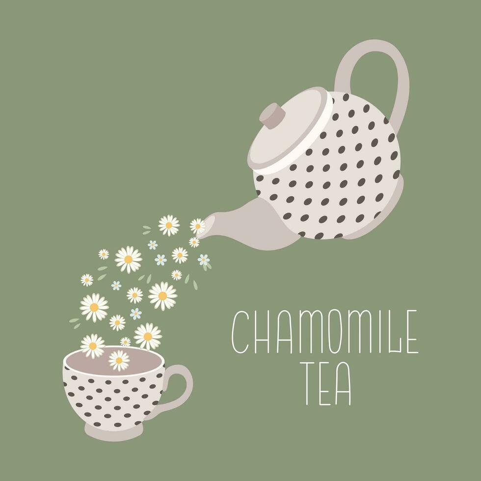 Chamomile tea, drink. Teapot and cup with chamomile tea and chamomile flowers. Illustration, vector