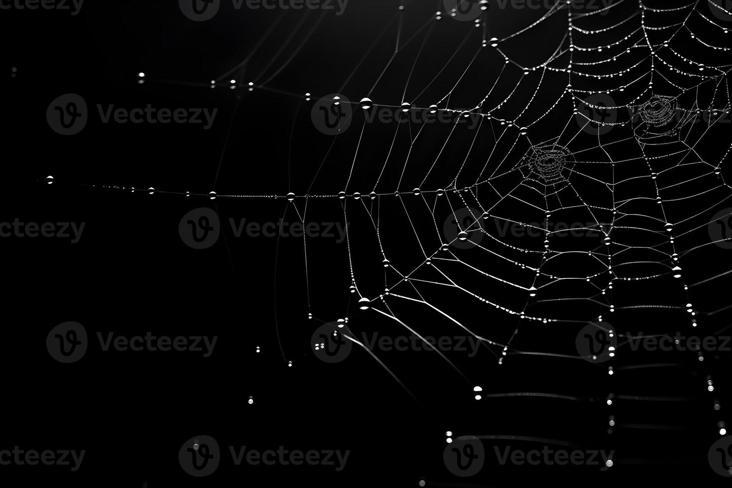 telaraña con negro fondo, decorativo blanco telaraña, ai generado foto