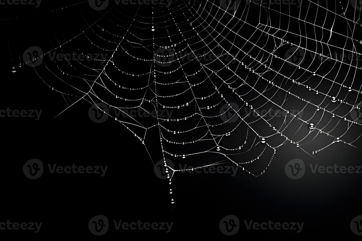 araña web con oscuro fondo, blanco telaraña, ai generado foto