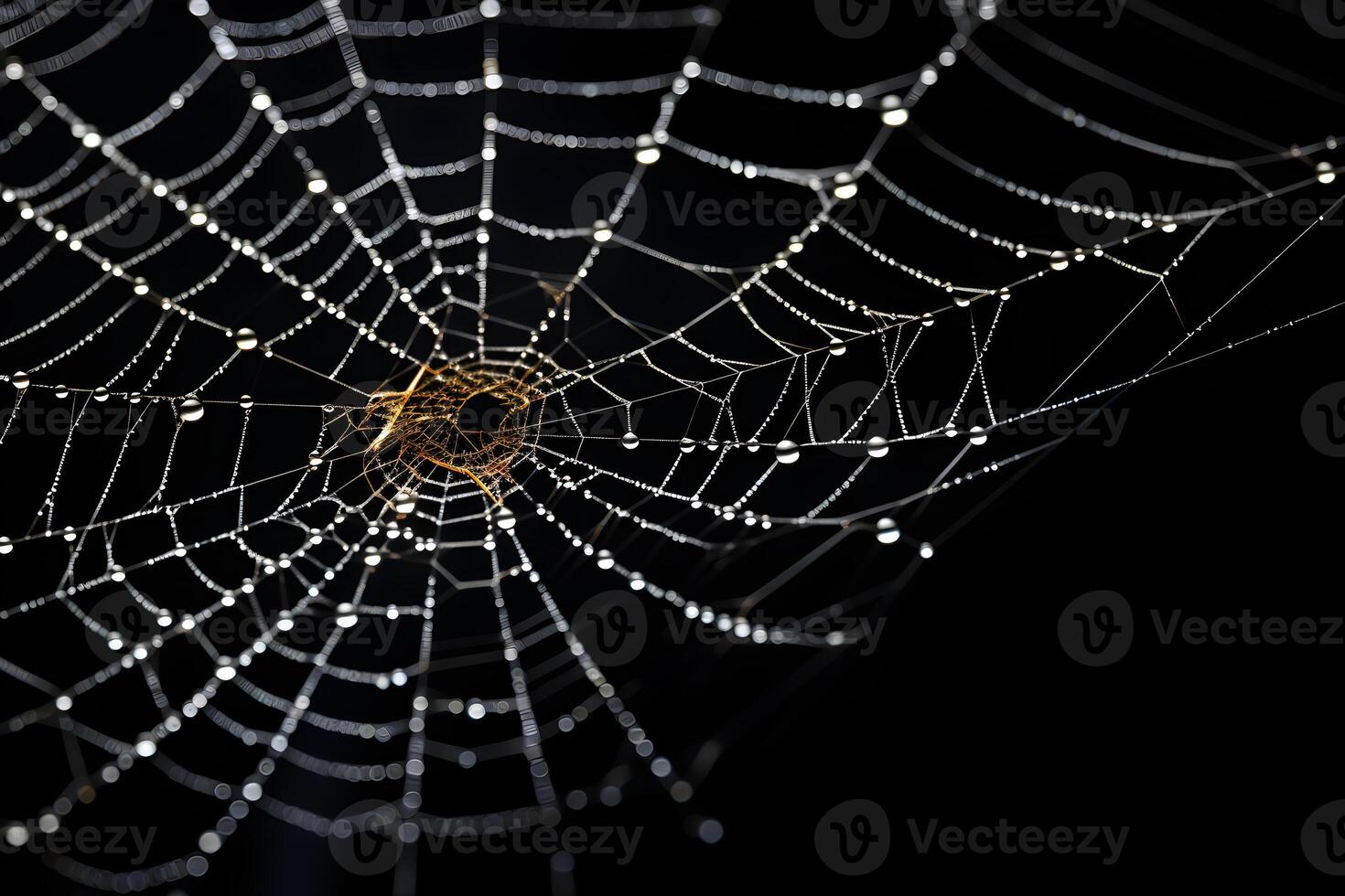 spider web with dark background, cobweb with water drops, photo