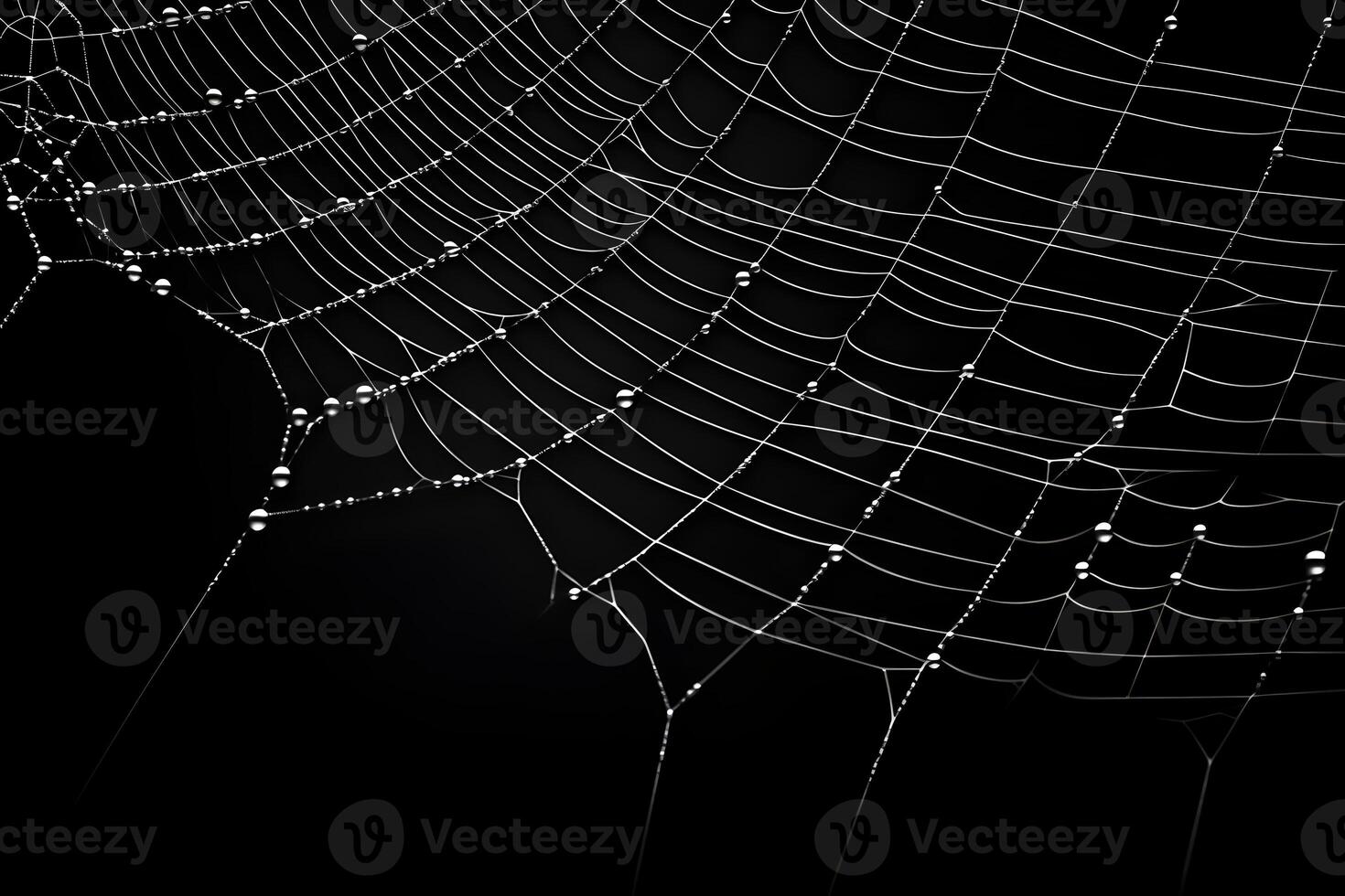 spiderweb isolated on black background, macro dewy spider web, ai generated photo