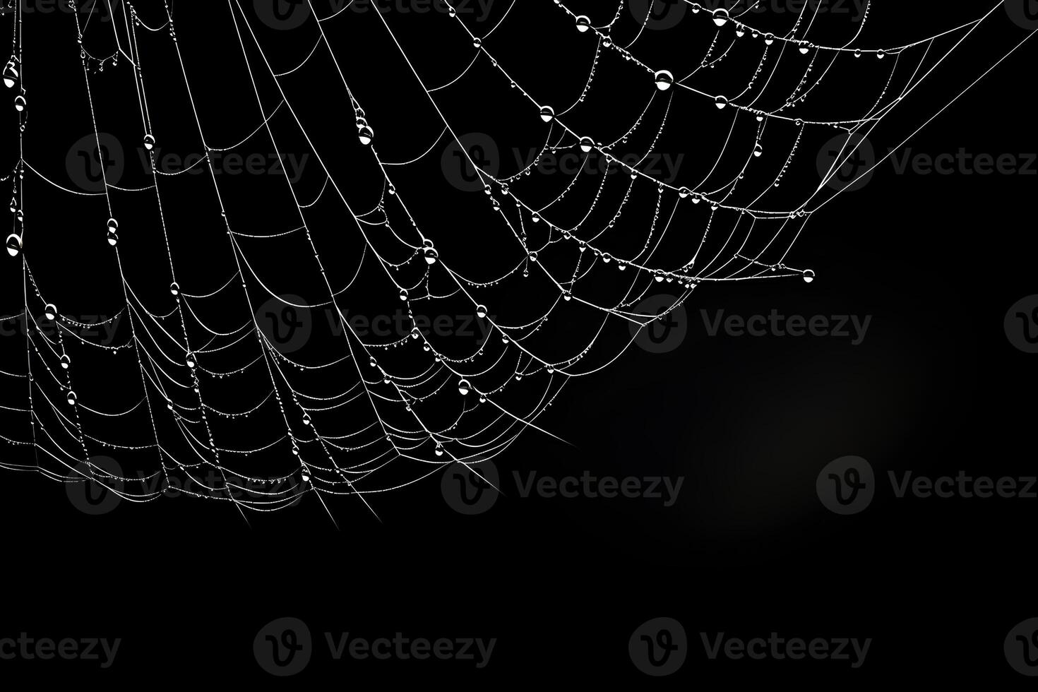 telaraña con negro fondo, blanco telaraña, ai generado foto