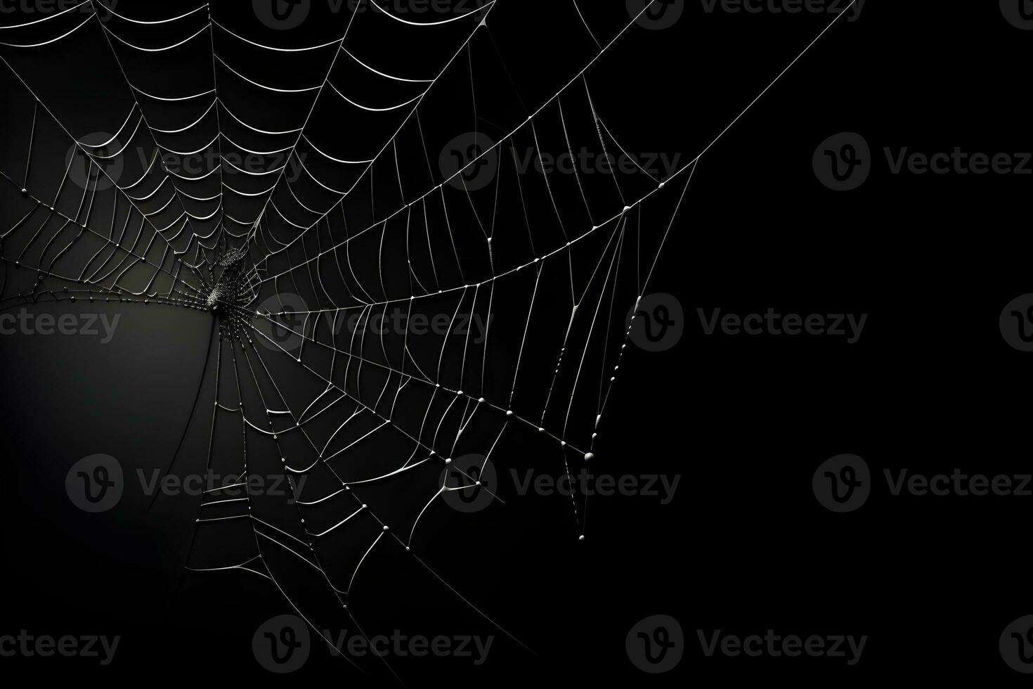 araña web con negro fondo, blanco telaraña, ai generado foto