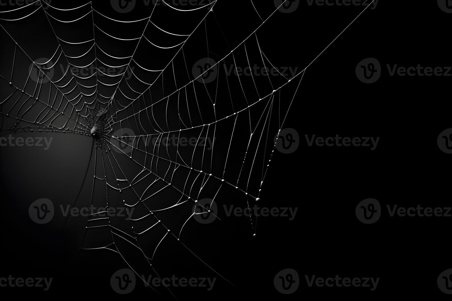 araña web con negro fondo, blanco telaraña, ai generado foto