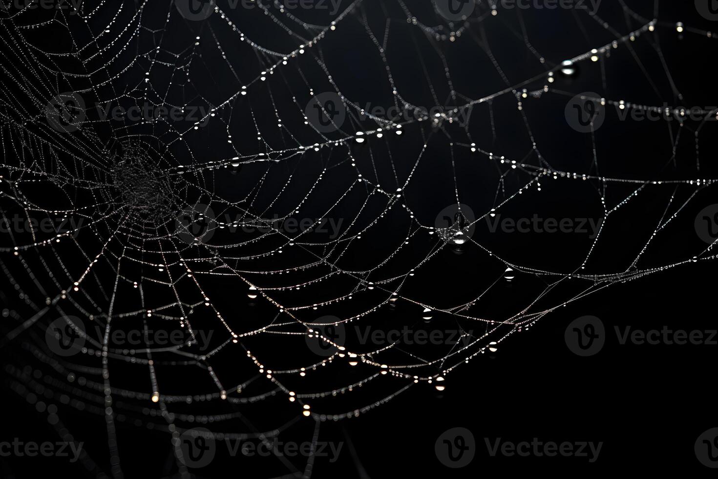 spiderweb with dark background, spooky horror design element, photo