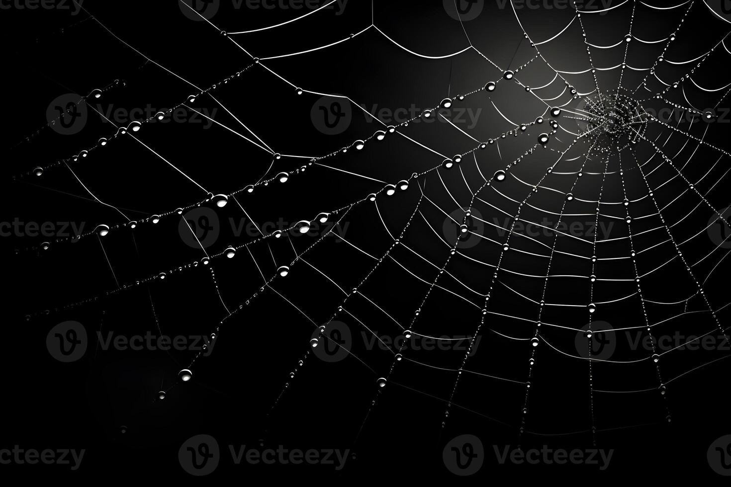 spiderweb with dark background, decorative spider web with water drops, photo