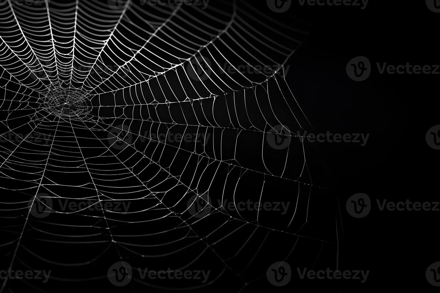 spiderweb with dark background, macro spider web with water drops, photo
