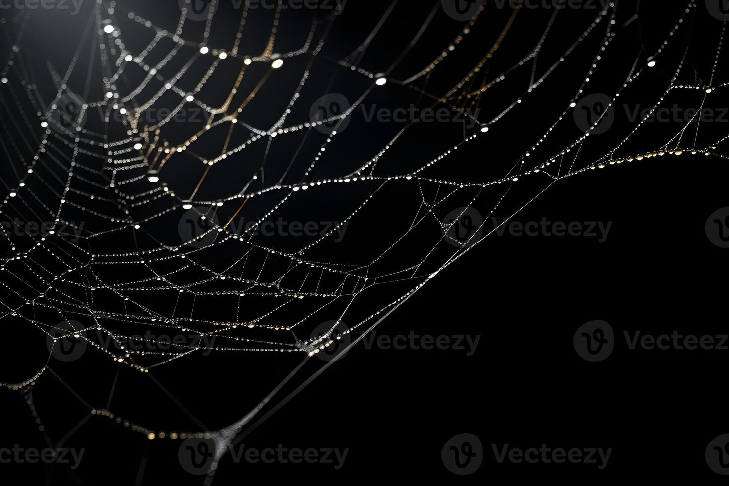 spiderweb overlay dark background, dewy cobwebs, photo