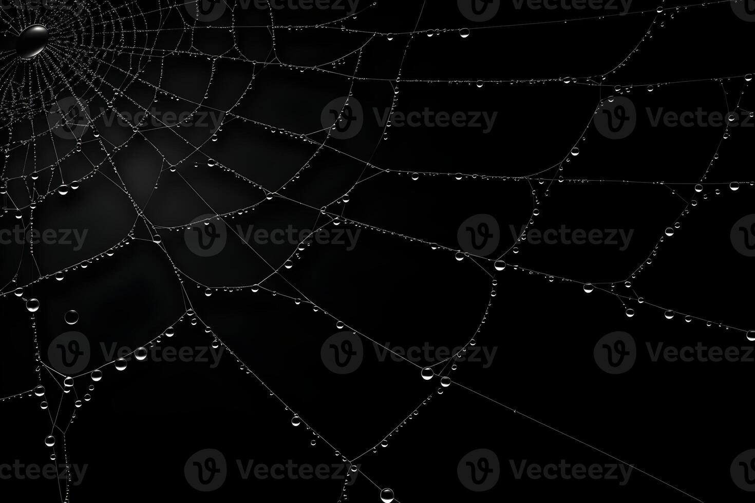 spiderweb dark background, cobweb with water drops, ai generated photo