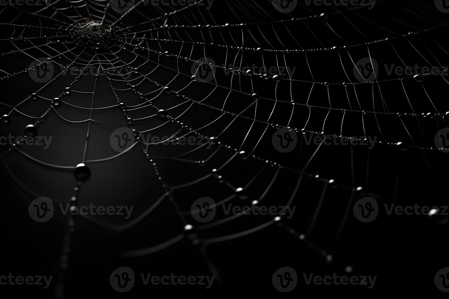 spiderweb dark background, spooky horror decoration element, photo