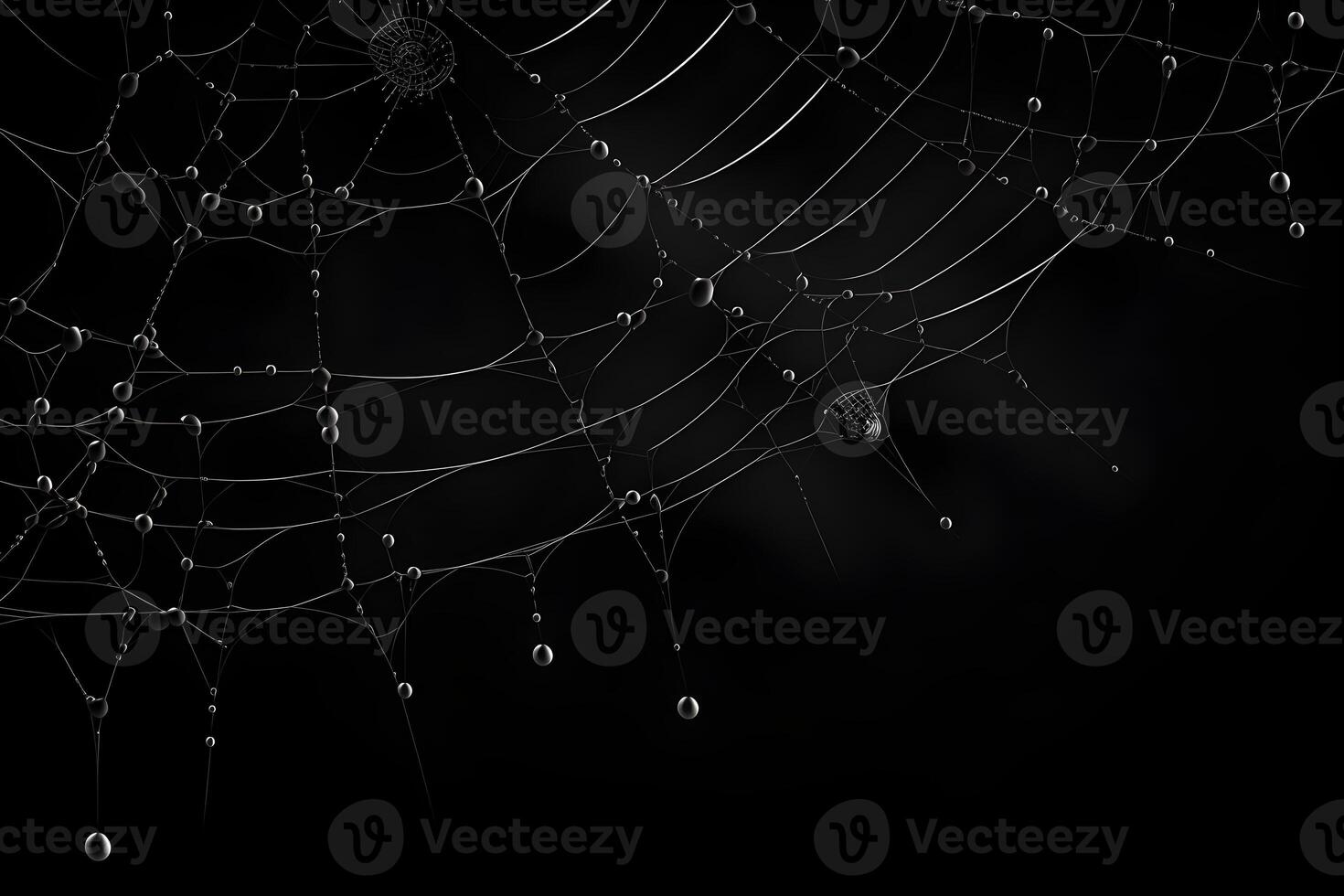 spiderweb isolated on black background, decorative dewy spider web, photo