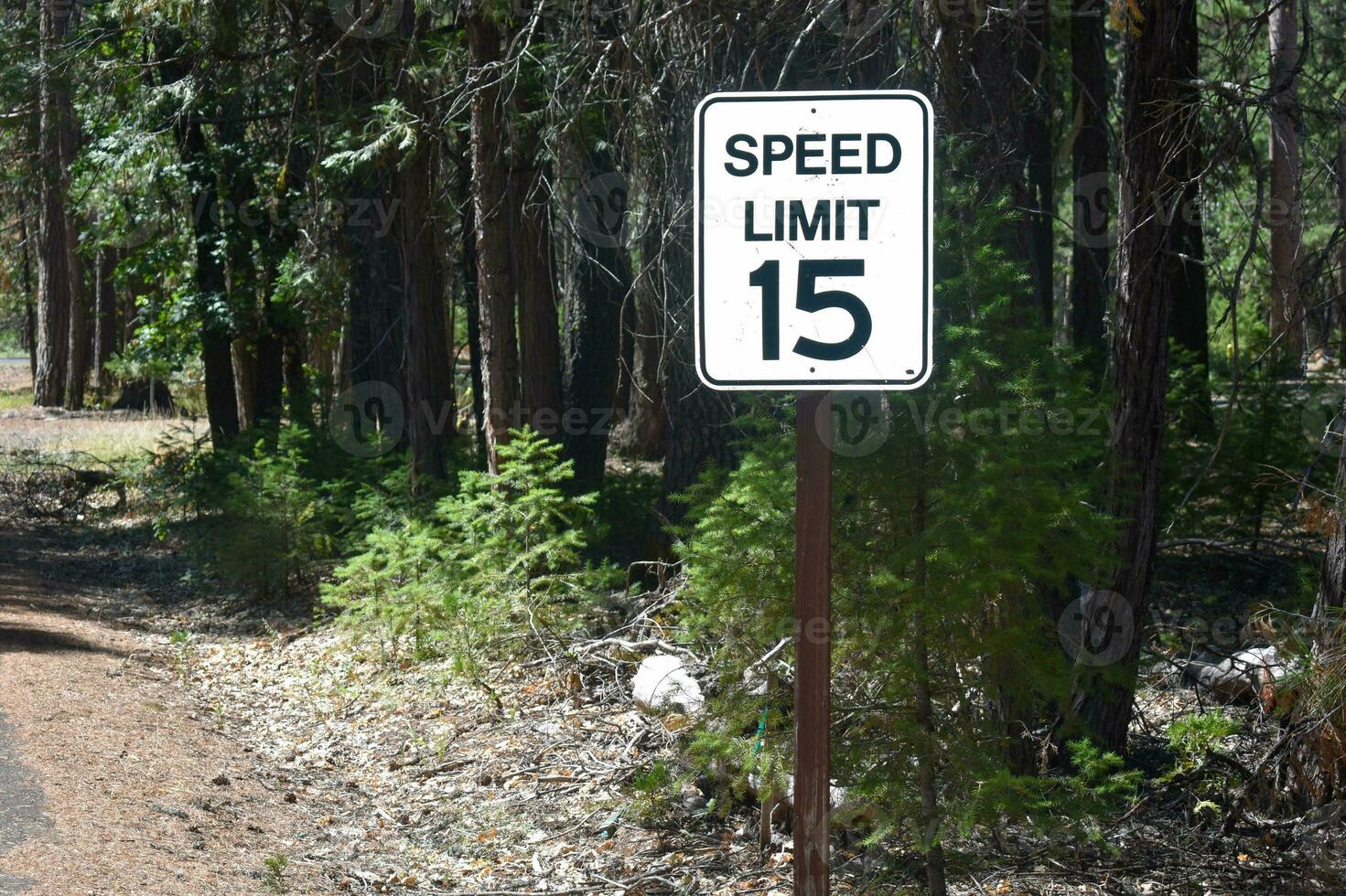 velocidad límite firmar 15 en bosque foto
