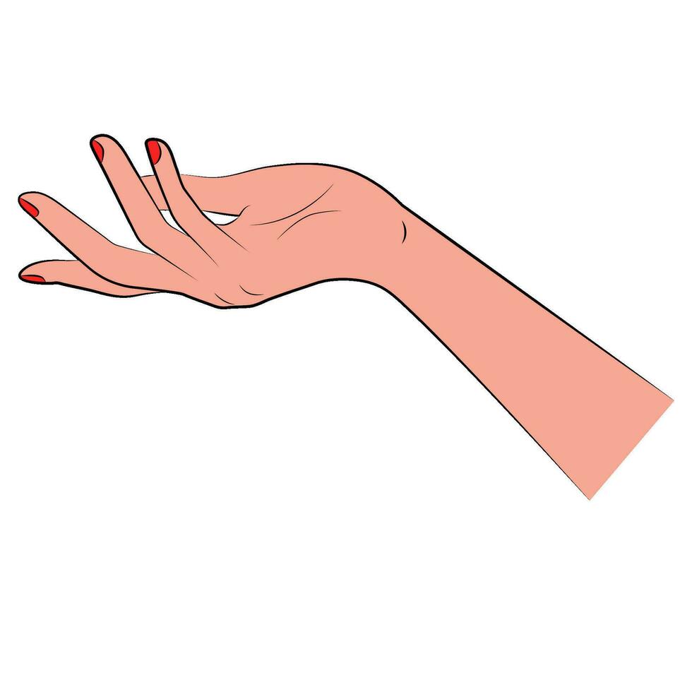 Female hands care vector