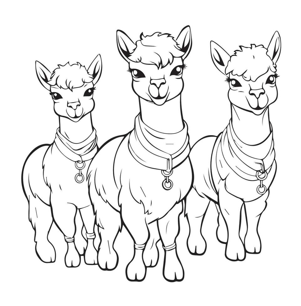 coloring page cartoon lamas vector