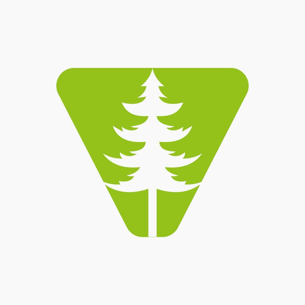 Letter V Christmas Tree Logo Design. Spruce Logo Symbol vector