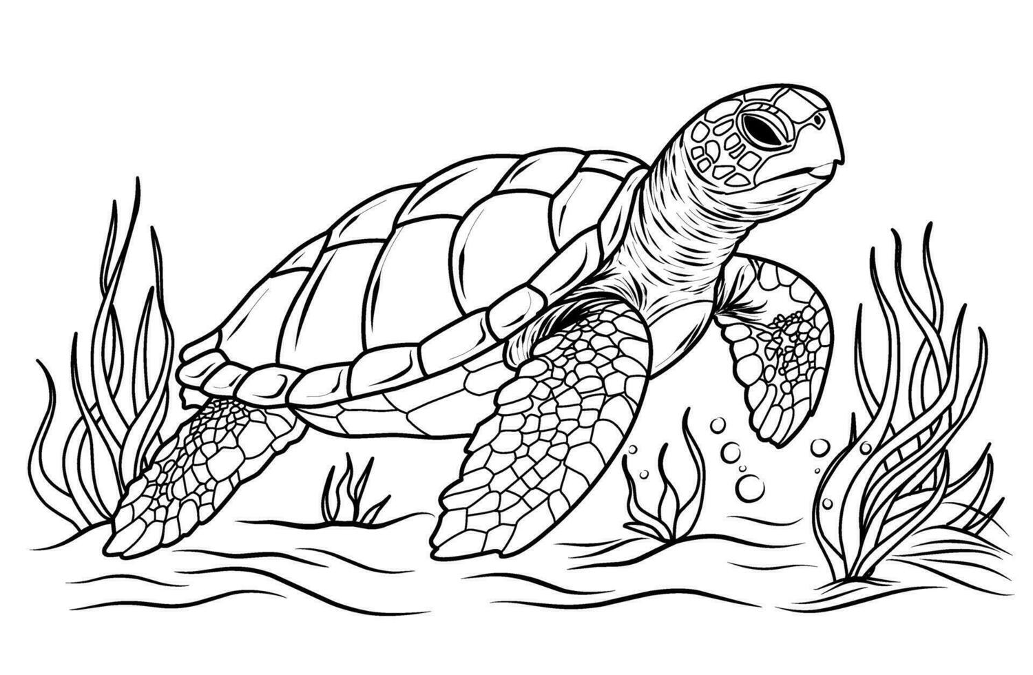 Big ocean turtle, cute striped fishes in the underwater world with algae, sand, bubbles on white isolated background. Good for kids and adults coloring book pages. vector