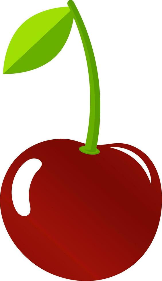fresh fruit illustration vector