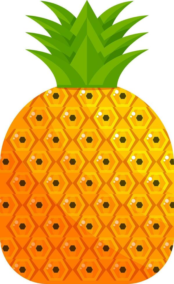 fresh fruit illustration vector