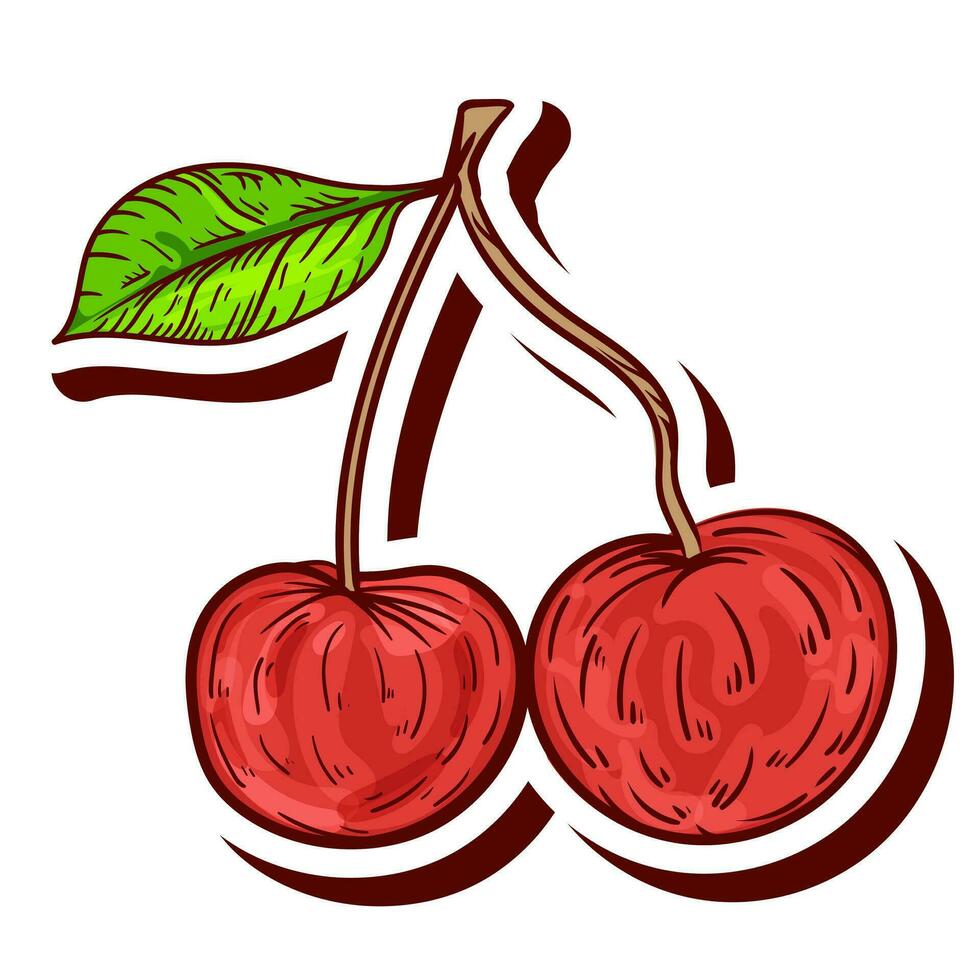 Fresco Cereza Fruta soltero vector ilustración