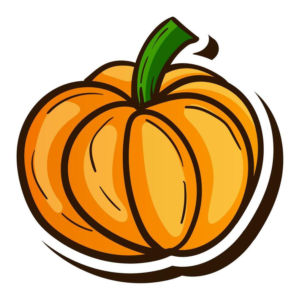 fresh pumpkin fruit single vector illustration