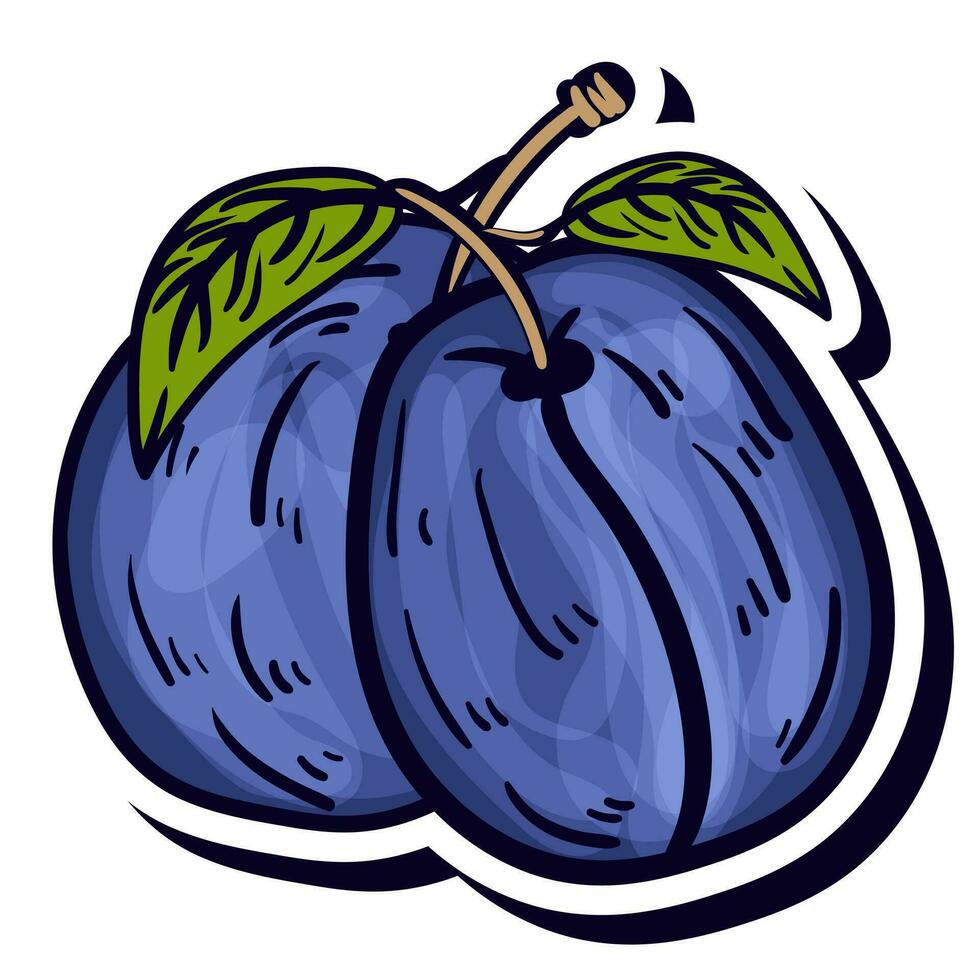 fresh single blueberry fruit vector illustration