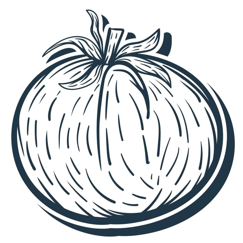 fresh single fruit tomato vector illustration